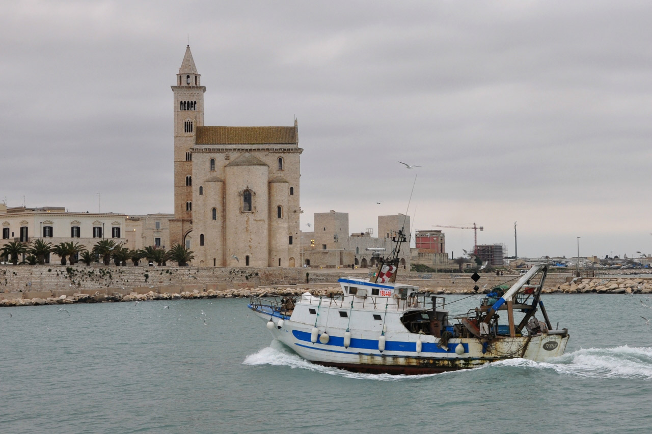 Trani